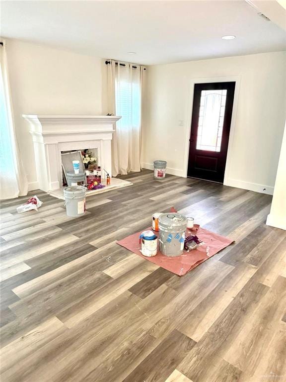 entryway featuring a wealth of natural light and hardwood / wood-style floors