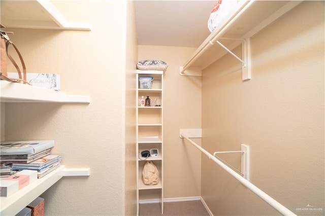 spacious closet featuring carpet