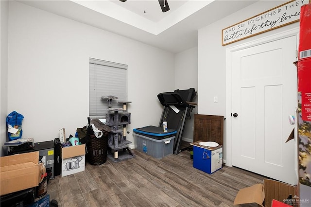 interior space featuring hardwood / wood-style flooring, ceiling fan, and a tray ceiling