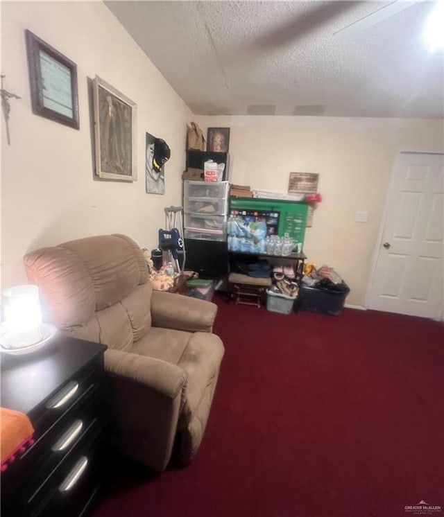 living room with carpet floors and a textured ceiling