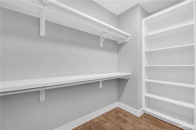 walk in closet with wood-type flooring