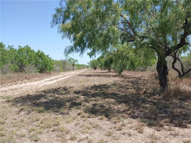 Listing photo 2 for 00000 N Mile 7 N, Penitas TX 78576