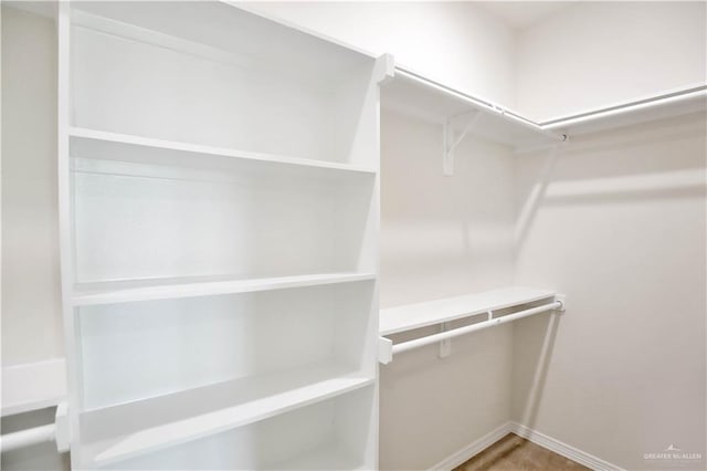 1502 Stirrup Cir, San Benito, TX 78586 - view of walk in closet