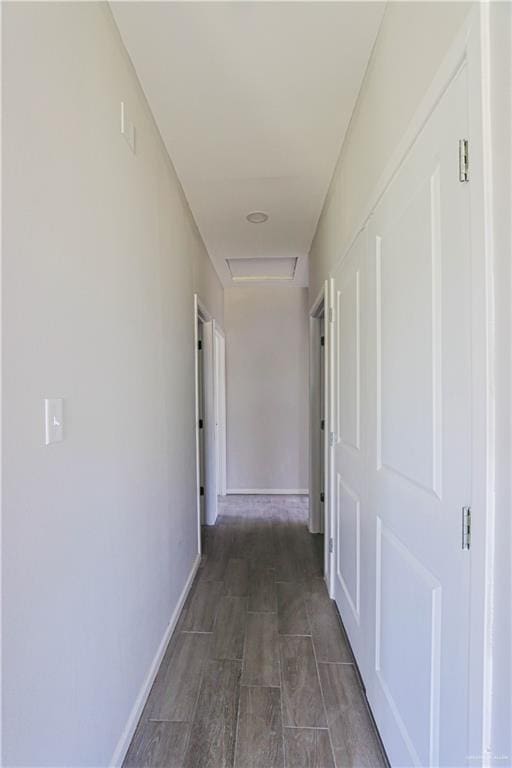 hallway featuring dark wood-type flooring