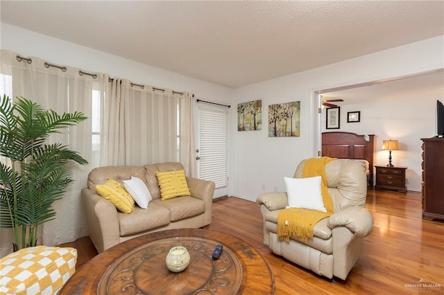 living room with a textured ceiling and light hardwood / wood-style flooring