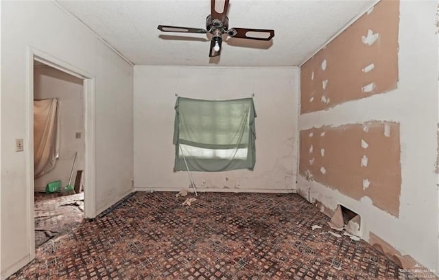 107 E Main St, Rio Grande City, TX 78582 - photo 11