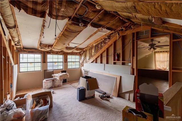 misc room with ceiling fan and carpet floors