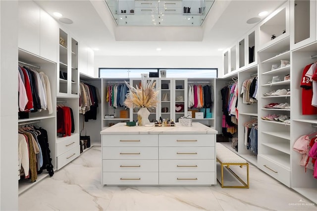 spacious closet with a raised ceiling