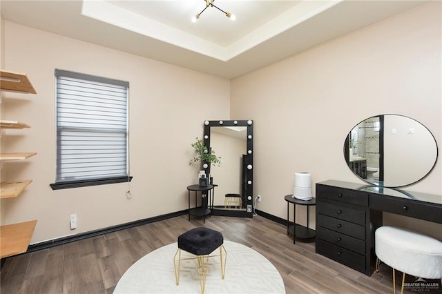 interior space with a tray ceiling and hardwood / wood-style flooring