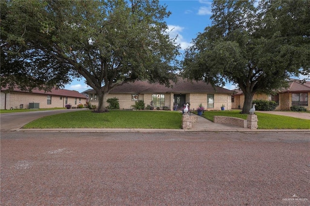 2709 Palmer Dr, Pharr, TX 78577 - ranch-style home featuring a front lawn