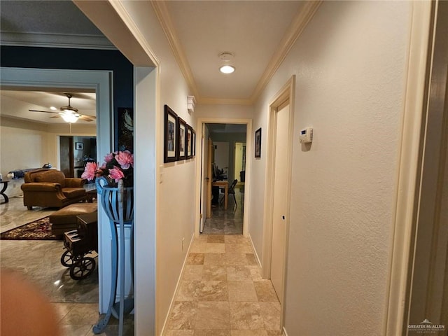 hall featuring crown molding, baseboards, and stone finish floor