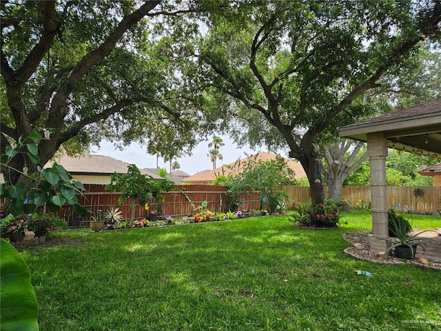 view of yard with a fenced backyard
