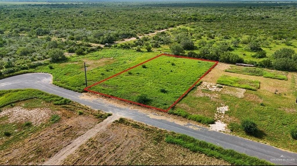 16 Carlotta St, Rio Grande City, TX 78582