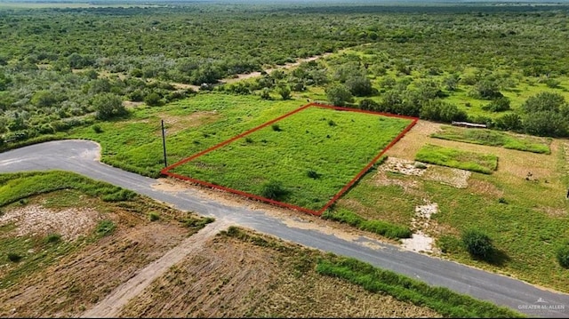 16 Carlotta St, Rio Grande City, TX 78582