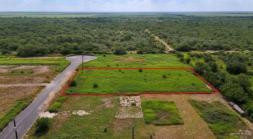 16 Carlotta St, Rio Grande City, TX 78582