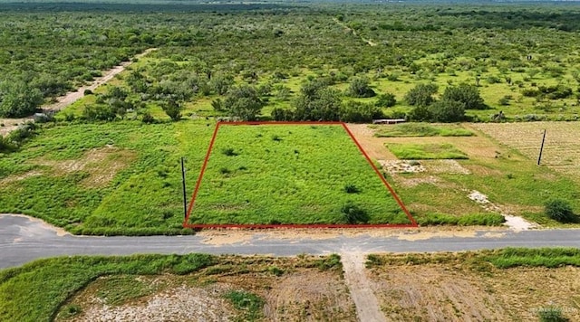 16 Carlotta St, Rio Grande City, TX 78582