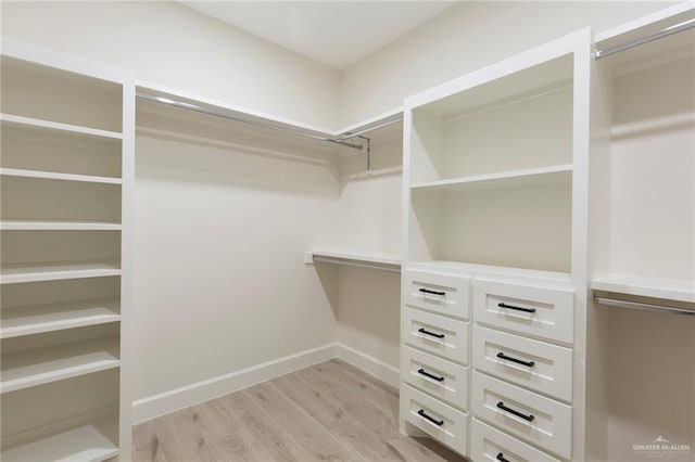 spacious closet featuring light hardwood / wood-style flooring