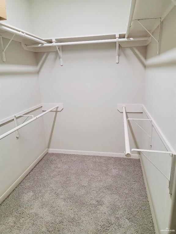 walk in closet with carpet