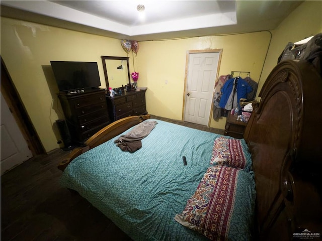 4810 Amber St, Mission, TX 78574 - bedroom with a tray ceiling