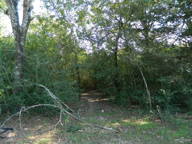 7075 Jones Rd, Bryan, TX 78599 - photo 7