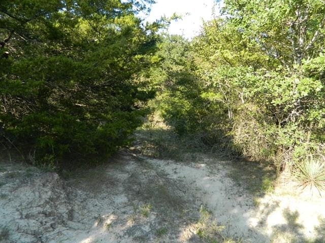 7075 Jones Rd, Bryan, TX 78599 - photo 11