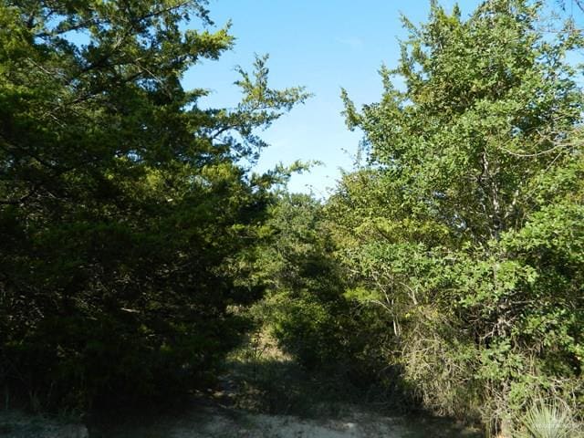 7075 Jones Rd, Bryan, TX 78599 - photo 13