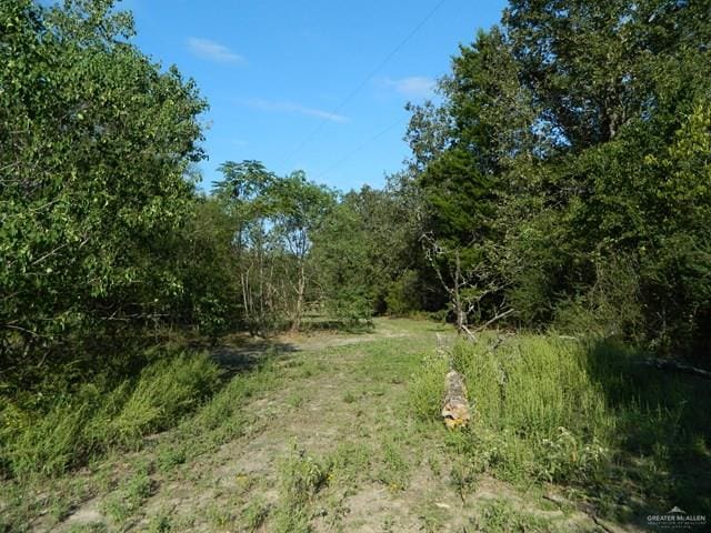 7075 Jones Rd, Bryan, TX 78599 - photo 16