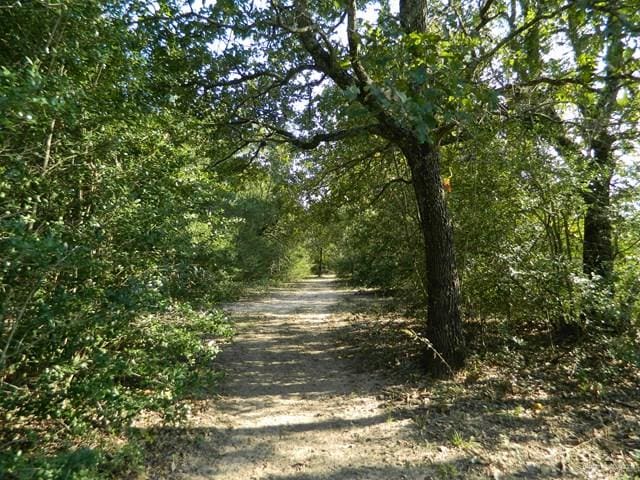 7075 Jones Rd, Bryan, TX 78599 - photo 17