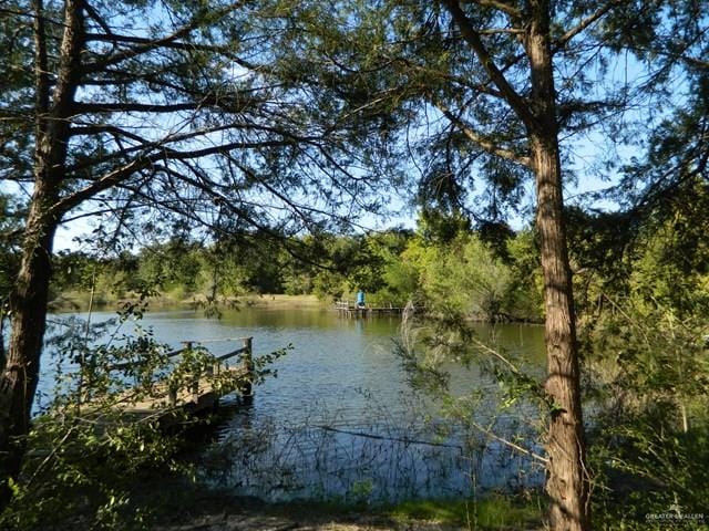 7075 Jones Rd, Bryan, TX 78599 - photo 8
