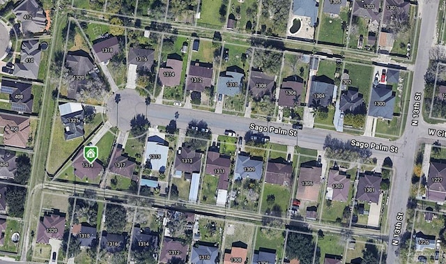 1319 Sago Palm St, Alamo, TX 78516 - map / location