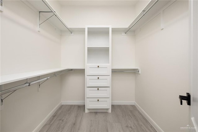 5204 Shalom Dr, Edinburg, TX 78539 - walk in closet featuring light wood-type flooring