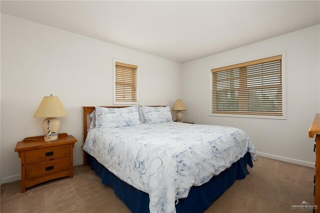 bedroom featuring light carpet and multiple windows