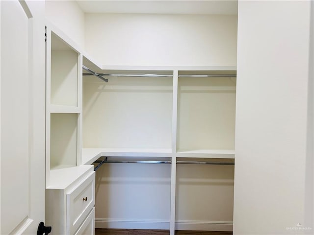 2125 Blue Sky Dr, Weslaco, TX 78599 - view of walk in closet
