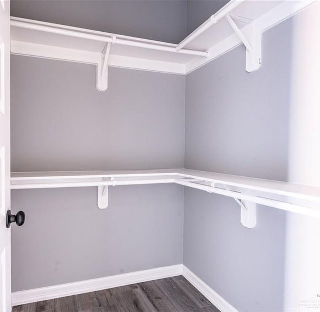 spacious closet with dark wood-type flooring