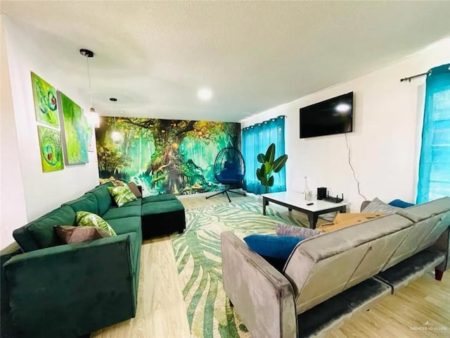 807 Walnut St, Mcallen, TX 78501 - living area with wood finished floors, plenty of natural light, and a textured ceiling