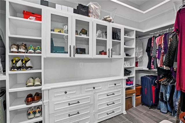 spacious closet with dark wood-type flooring