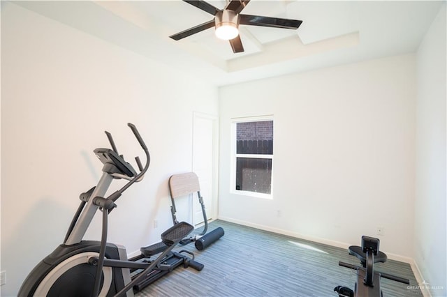 exercise room with ceiling fan and a tray ceiling