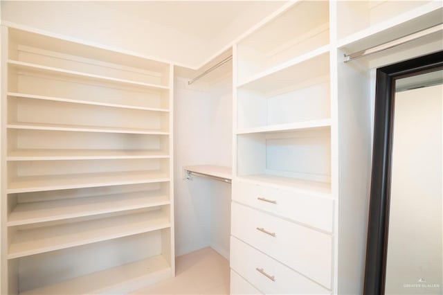 view of spacious closet