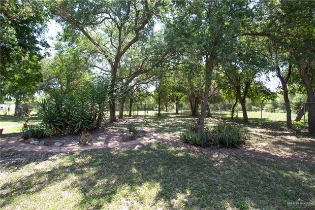 11009 Monte Cristo Rd, Edcouch, TX 78538 - view of yard