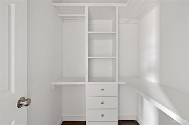 view of spacious closet