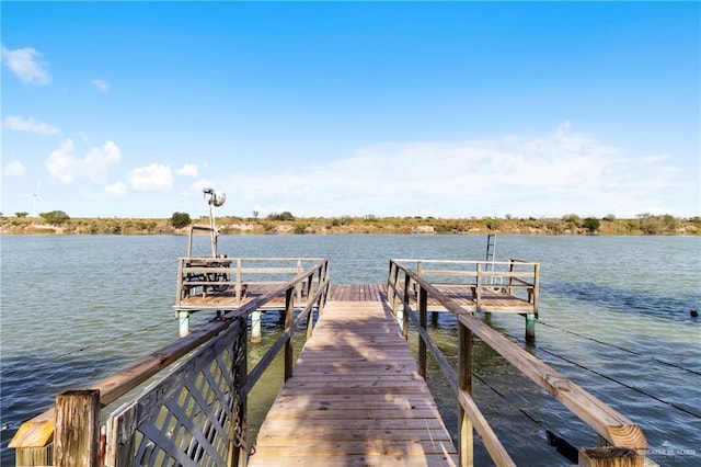 dock area with a water view