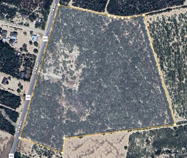 000 Fm 649, Roma TX, 78584 land for sale