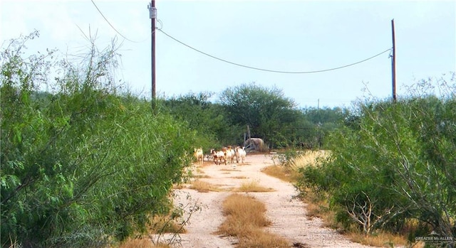 3525 S River Rd, Donna, TX 78537 - photo 3