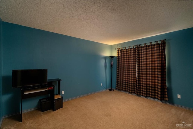 miscellaneous room featuring light colored carpet and a textured ceiling