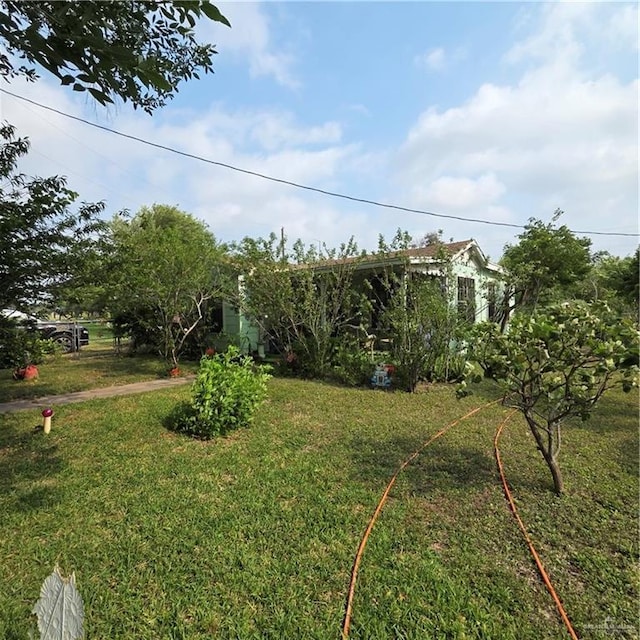 16073 S US Highway 281, San Benito, TX 78586 - view of grassy yard