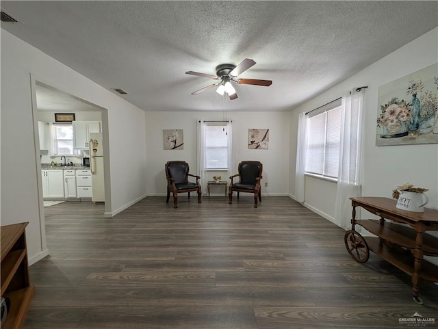 sitting room featuring plenty of natural light, dark wood-type flooring, and sink