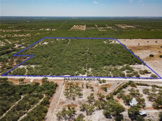 Listing photo 2 for 4970 Old Charco Blanco Rd, Rio Grande City TX 78582