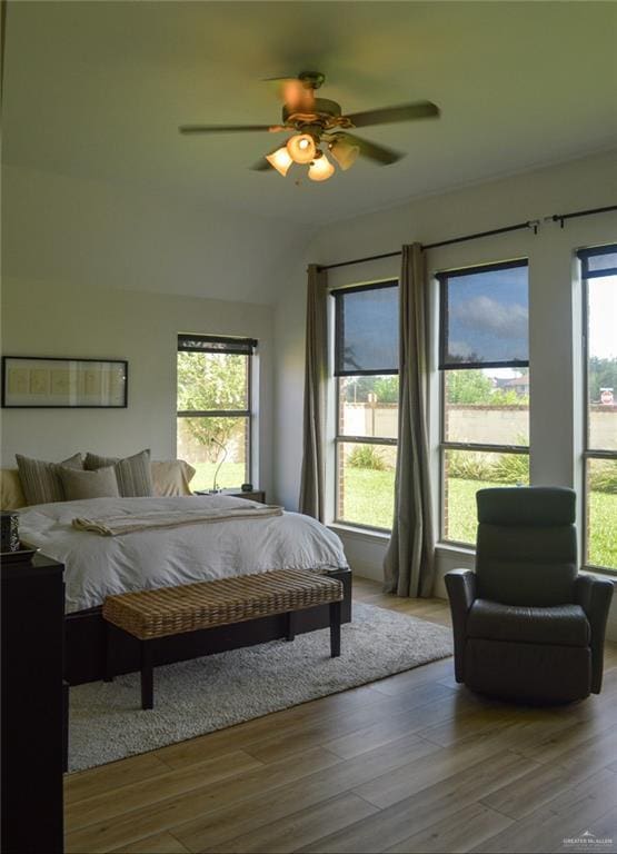 2808 San Eduardo St, Mission, TX 78572 - photo 17