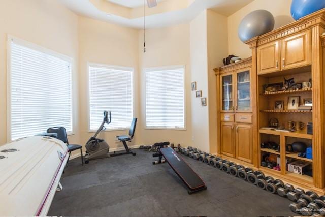 workout room featuring a wealth of natural light and ceiling fan