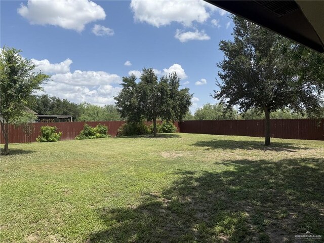 1431 Vida Grande St, Alamo, TX 78516 - photo 26